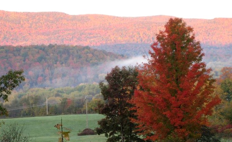 Log Cabins (Brandon, Vermont, United States)