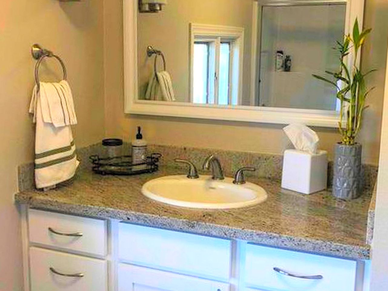 Charming Cottage Rental for a Fun-Filled Vacation in the San Francisco Bay Area, California