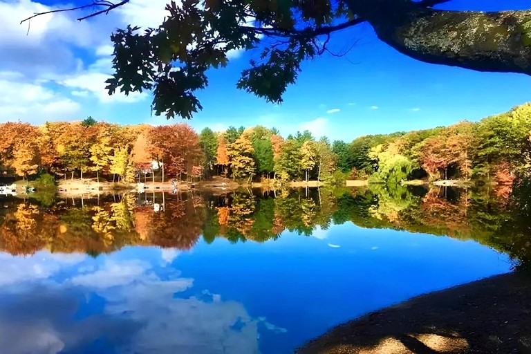 Cabins (United States of America, Traverse City, Michigan)