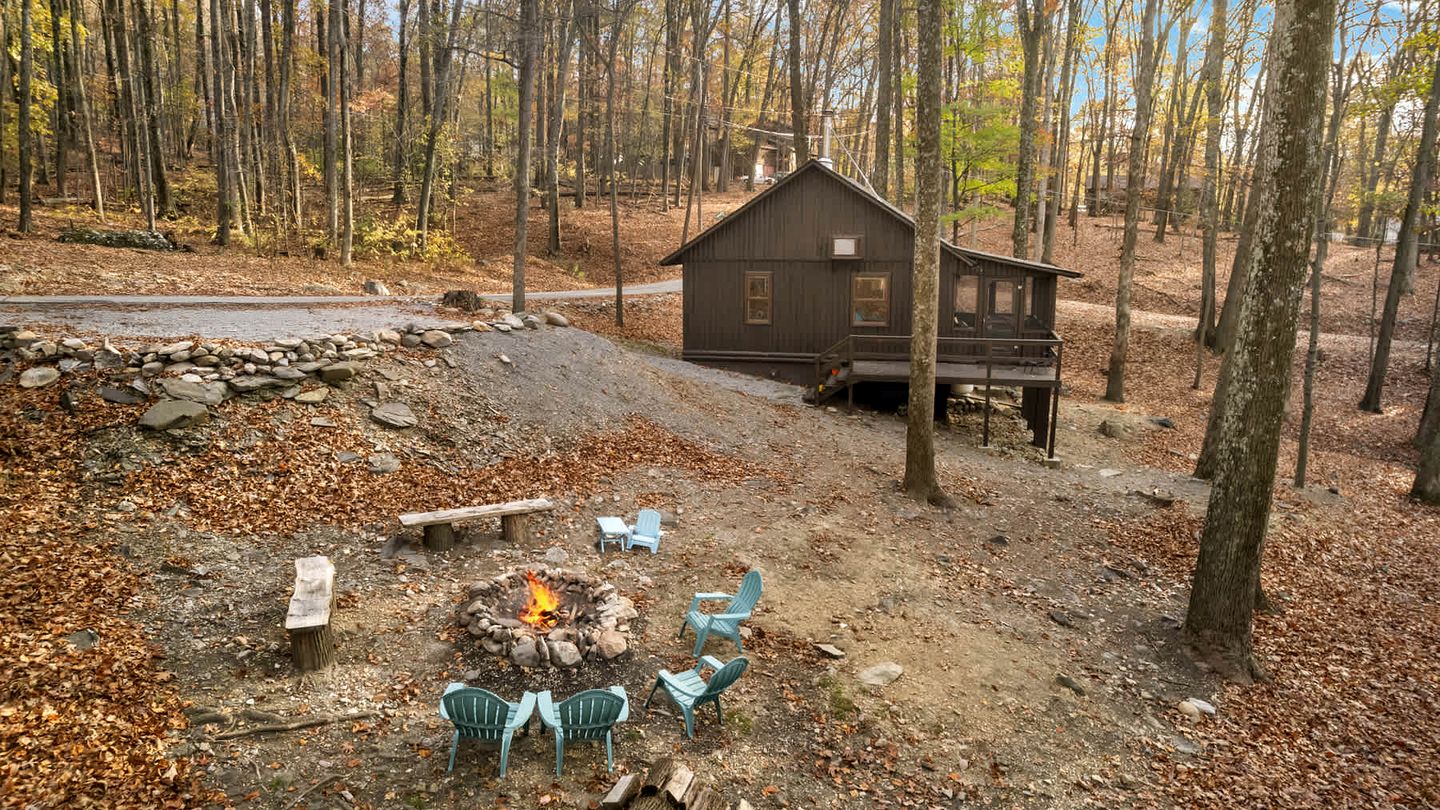 Spectacular Lofted Cabin with Screened Porch, BBQ, and Fire Pit in West Virginia