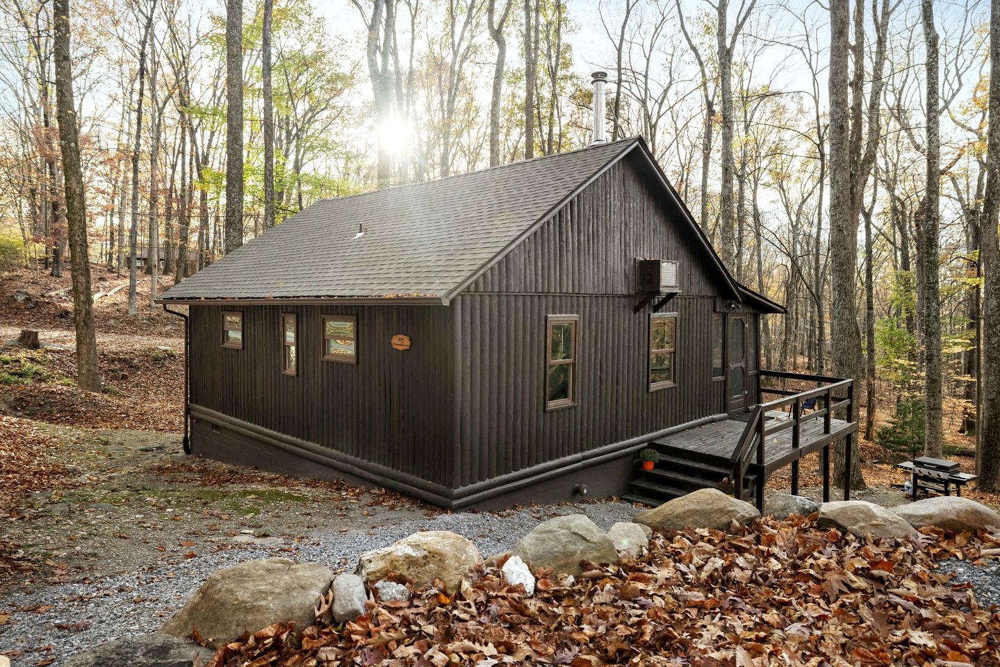 Spectacular Lofted Cabin with Screened Porch, BBQ, and Fire Pit in West Virginia