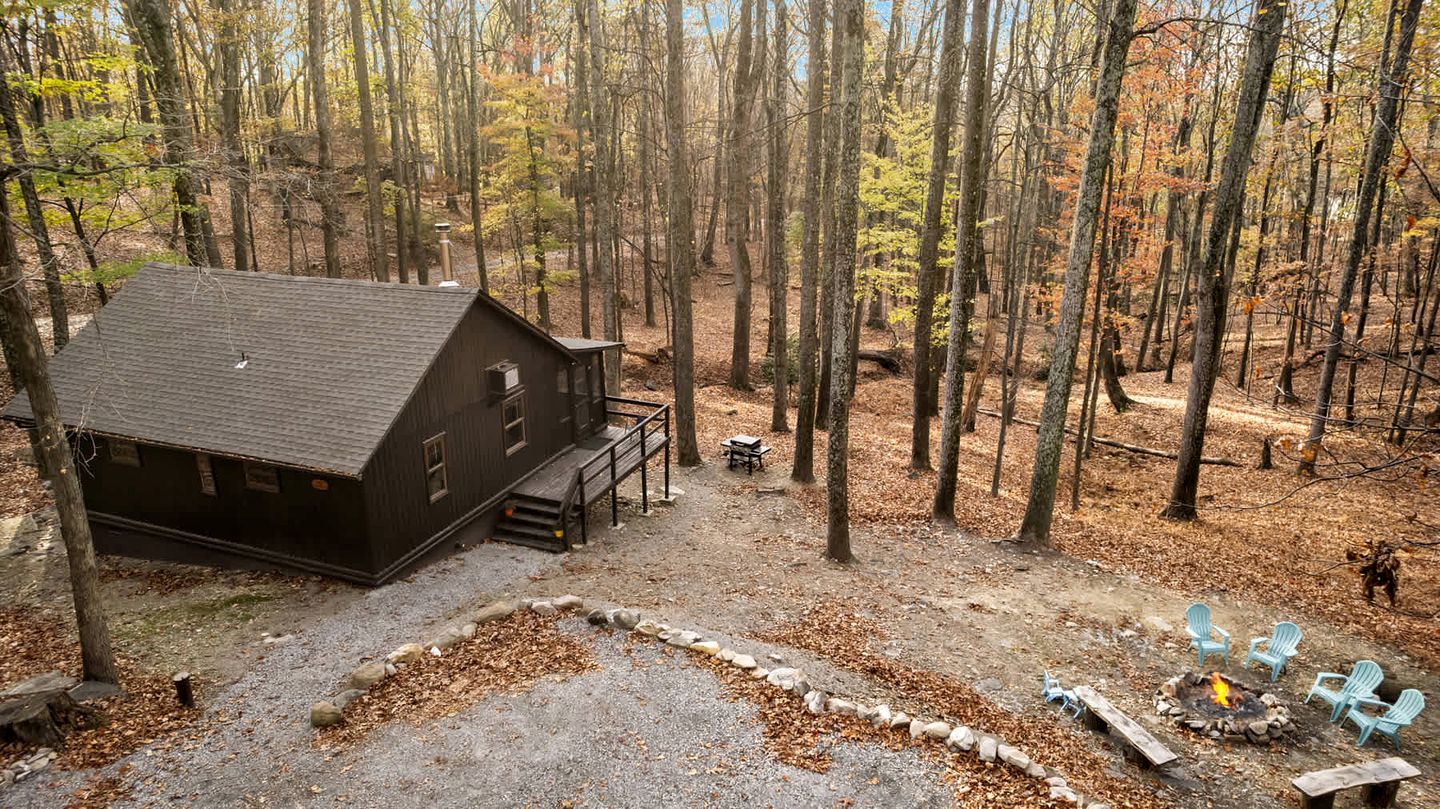 Spectacular Lofted Cabin with Screened Porch, BBQ, and Fire Pit in West Virginia
