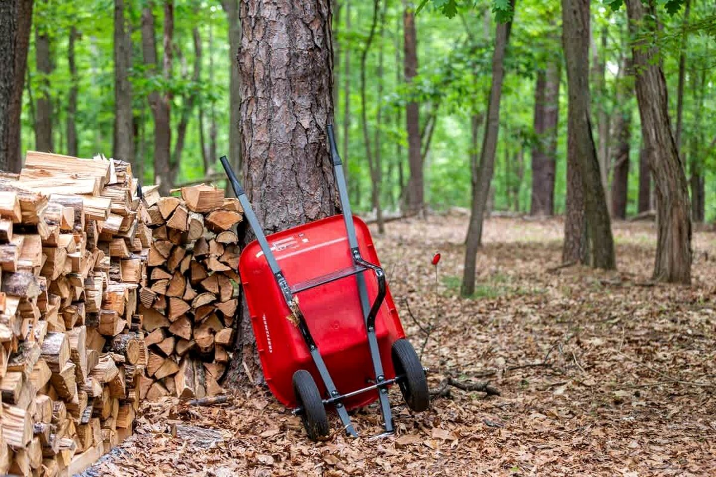 Cozy Cabin with Cute Gazebo and Fire Pit, near Sleepy Creek and Harpers Ferry National Historical Park, West Virginia