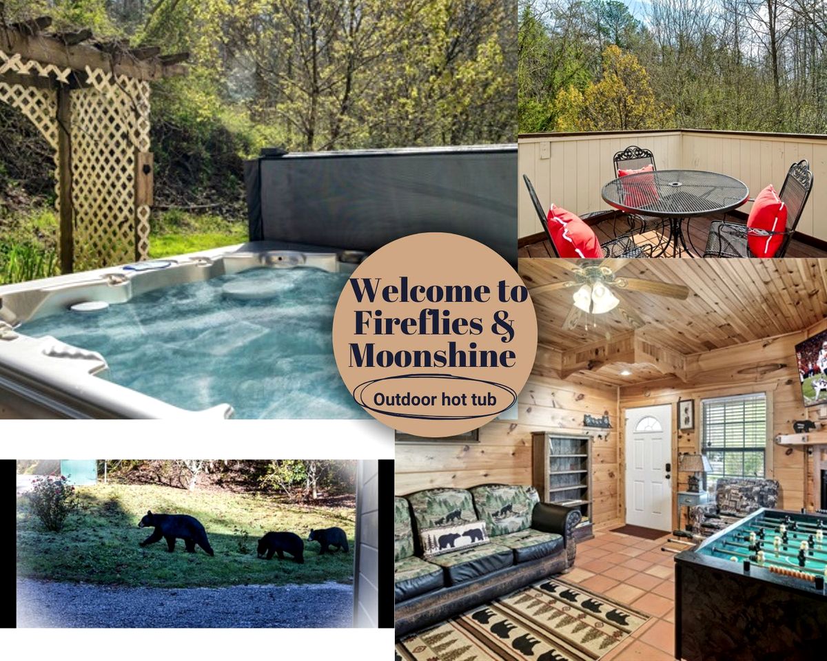 Cabins (United States of America, Gatlinburg, Tennessee)