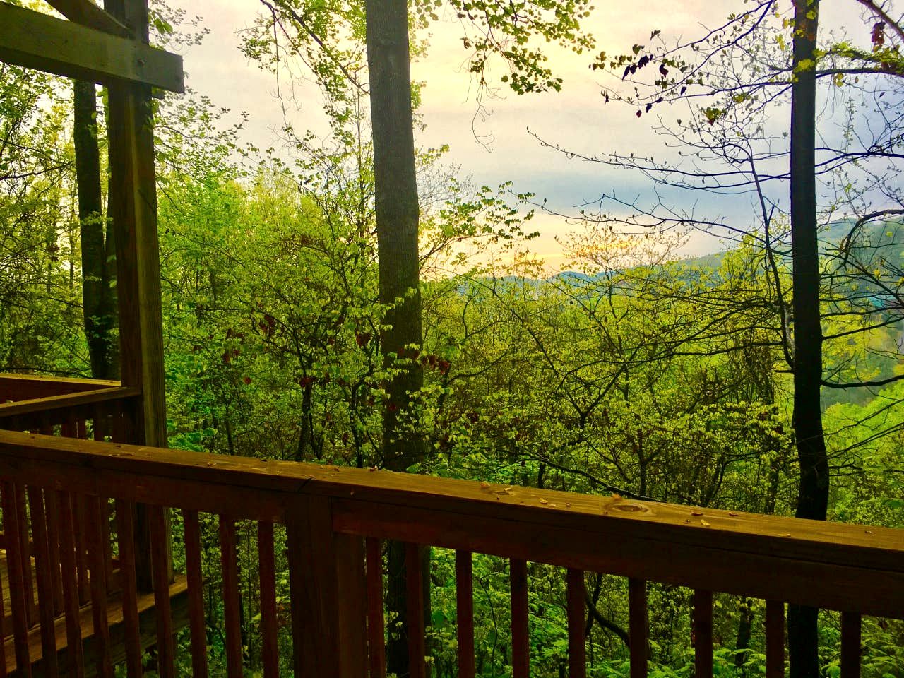 Cozy Wooden Cabin Nestled Amidst Trees in Sevierville, Tennessee