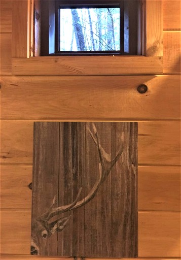 Cabins (United States of America, Sevierville, Tennessee)