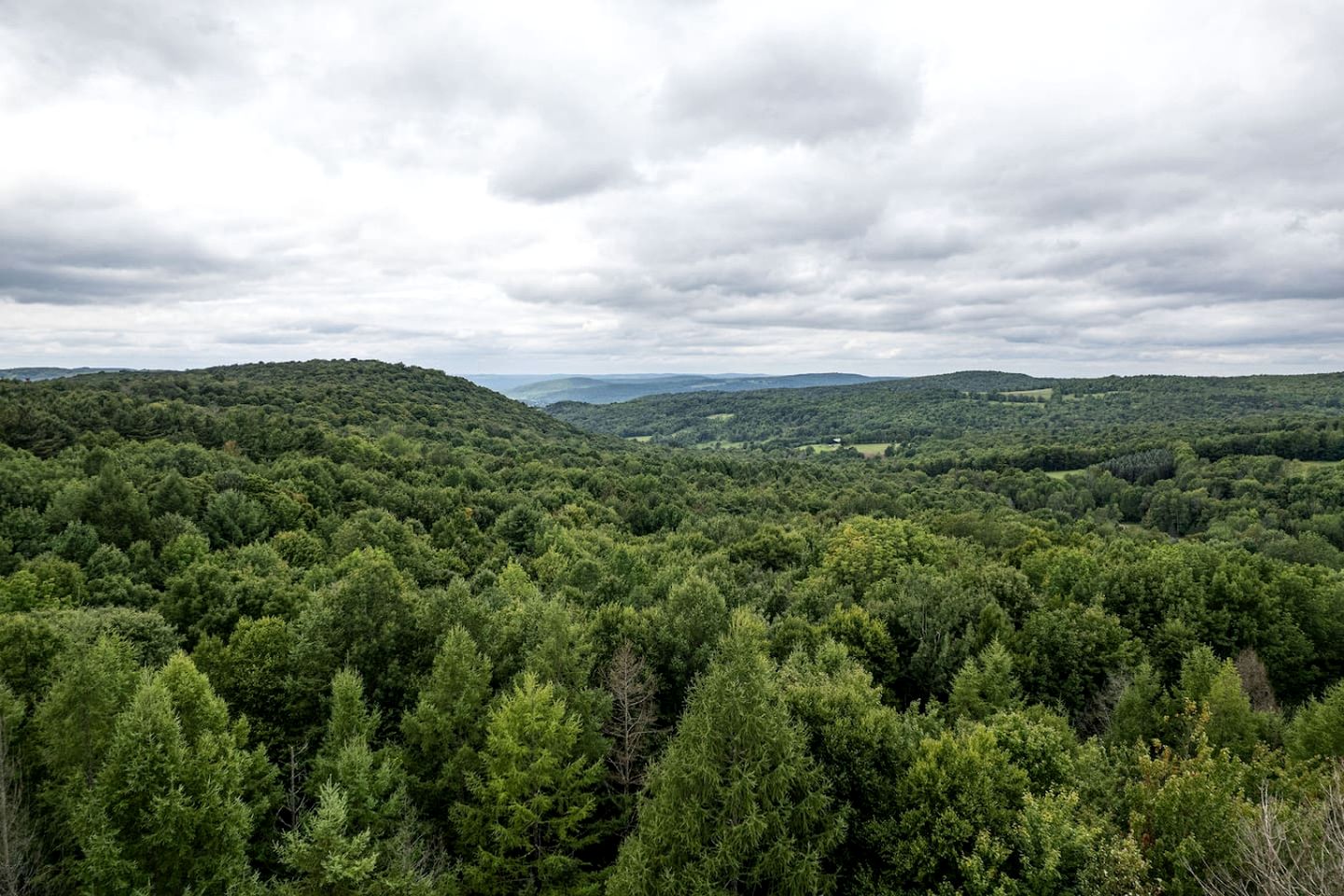 Cozy Cabin Retreat with Fire Pit, Sauna & Game Room in Franklin, New York