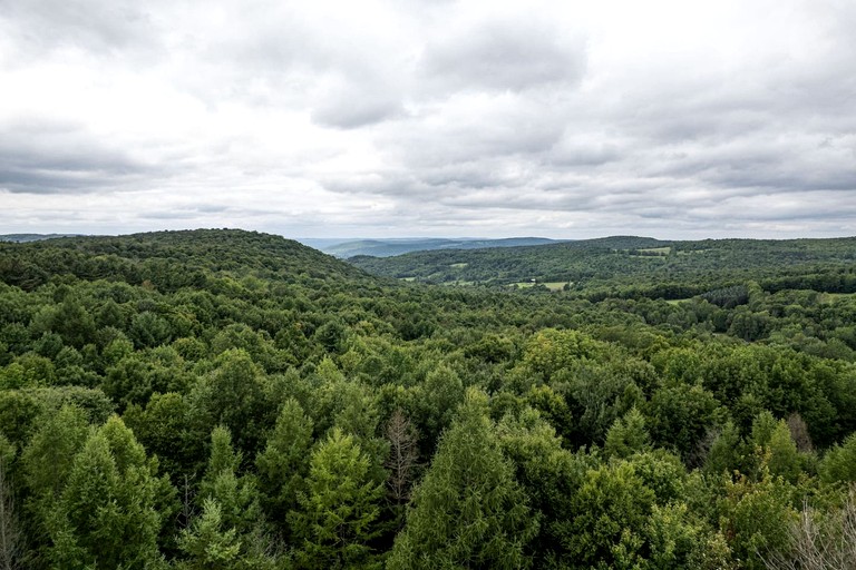 Cabins (United States of America, Franklin, New York)