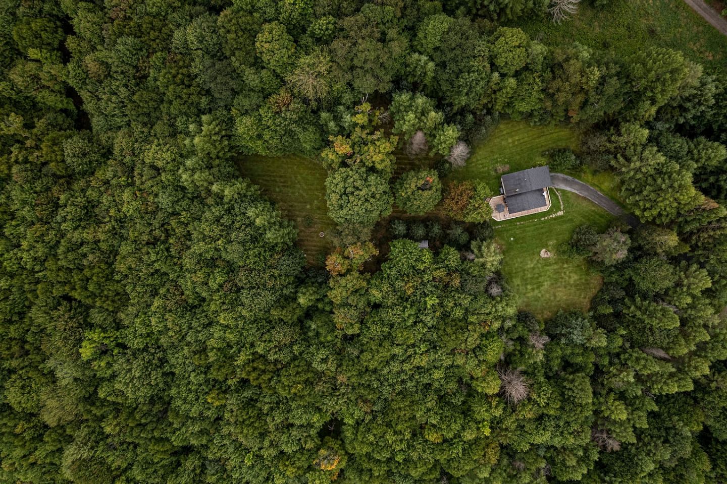 Cozy Cabin Retreat with Fire Pit, Sauna & Game Room in Franklin, New York