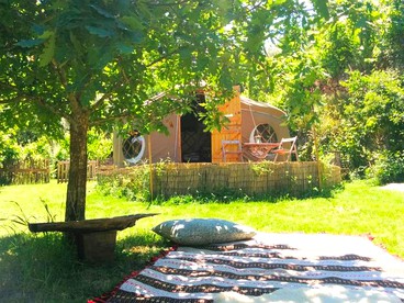 undefined photo 3