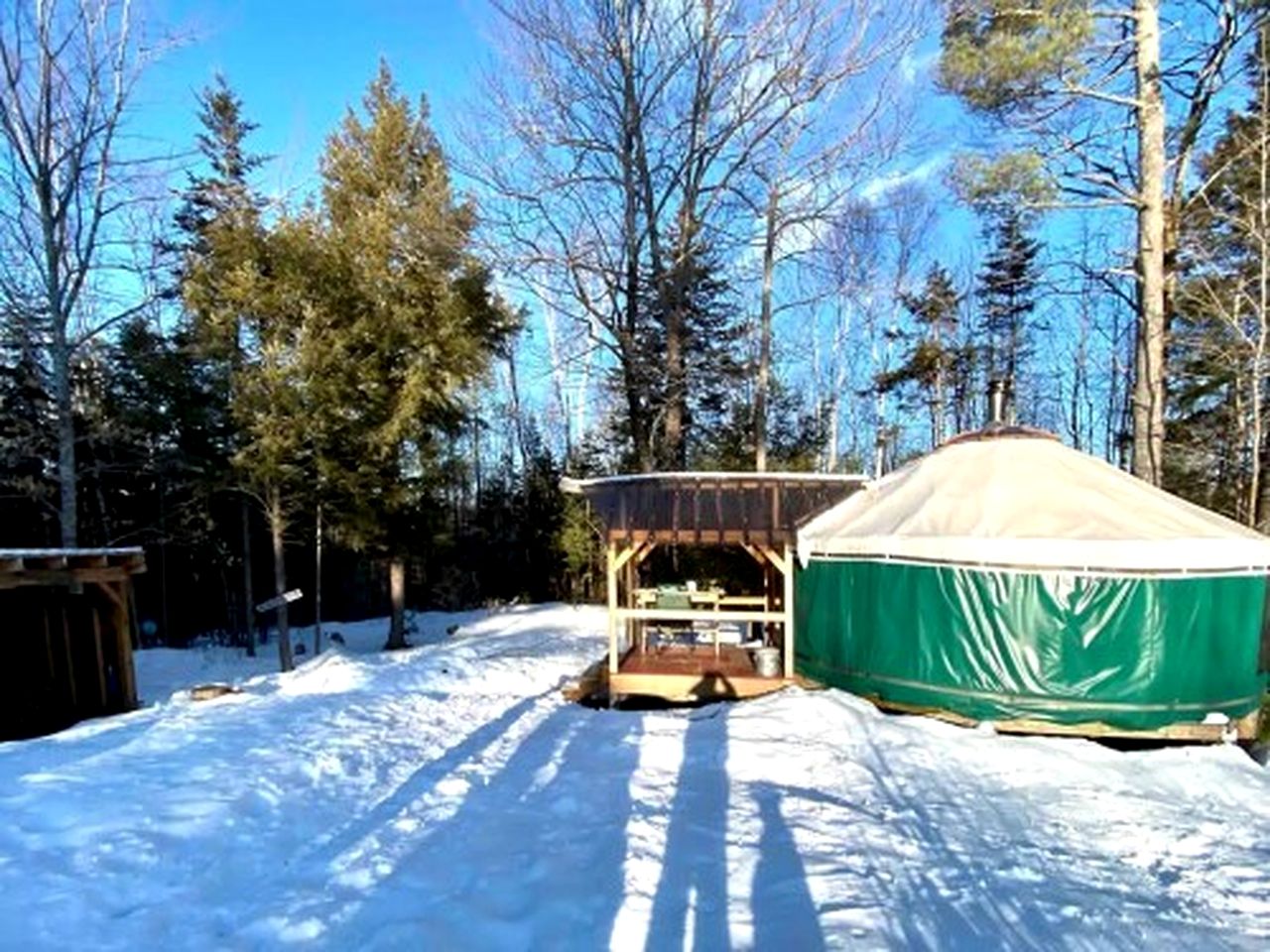 Cozy Yurt in the Peaceful Woods in Chatham, NH