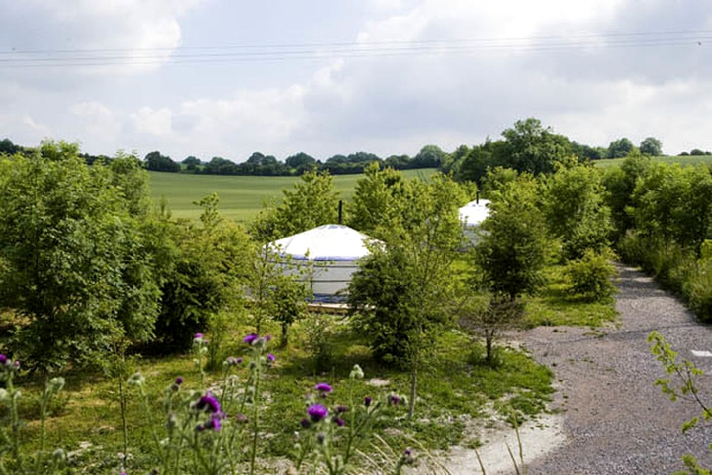 Cozy Yurts with Beautiful Tree Backdrop near Southampton, England