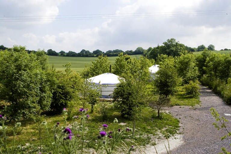 Yurts (Hampshire, England, United Kingdom)