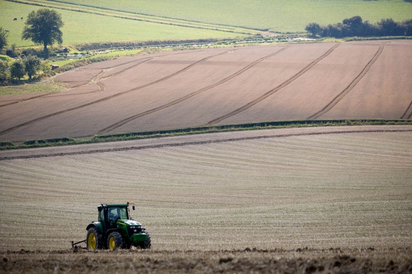 Cozy Yurts with Beautiful Tree Backdrop near Southampton, England