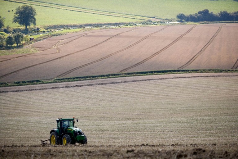 Yurts (Hampshire, England, United Kingdom)