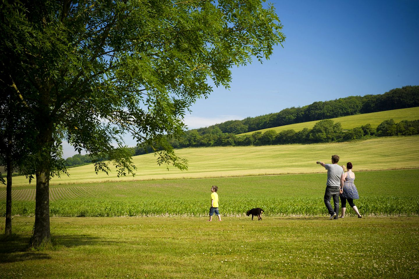 Cozy Yurts with Beautiful Tree Backdrop near Southampton, England