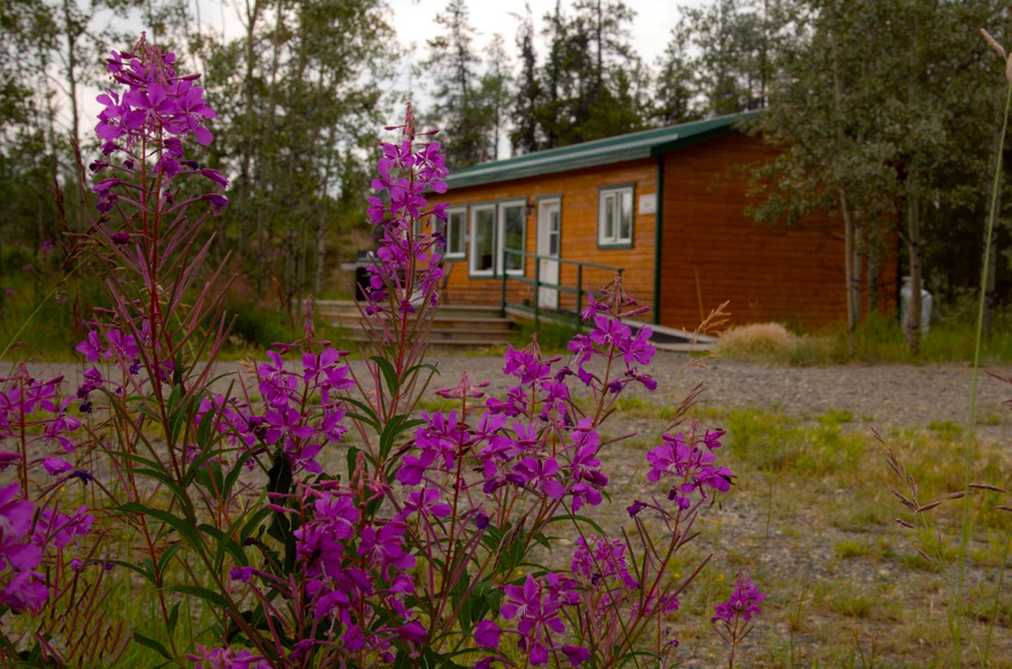 Charming Camping Cabin with Views of Aurora Borealis in Whitehorse, Yukon Territory