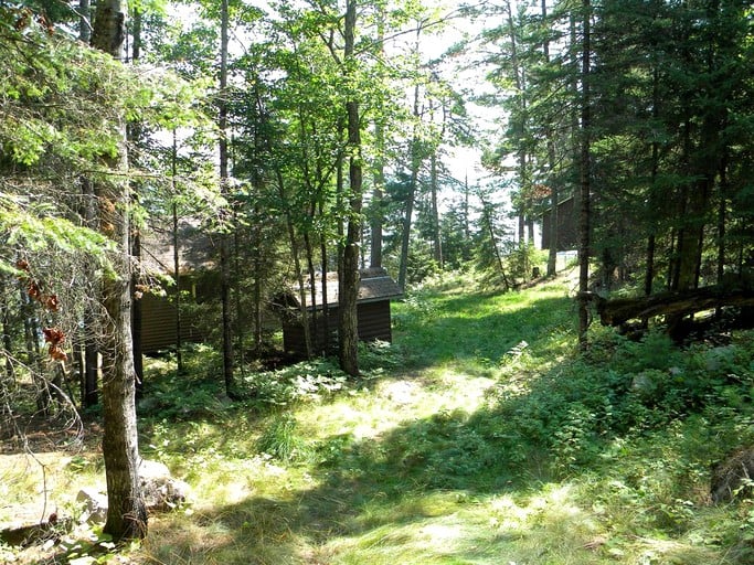 Cabins (Crane Lake, Minnesota, United States)