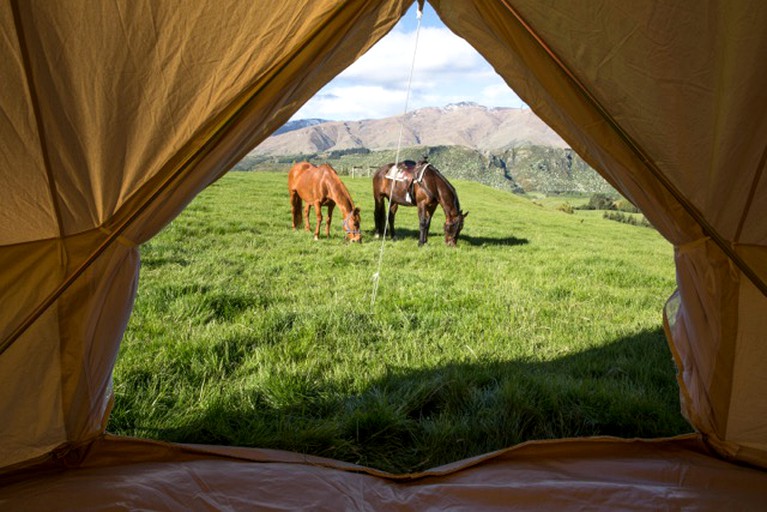 Bell Tents (Queenstown, South Island, New Zealand)