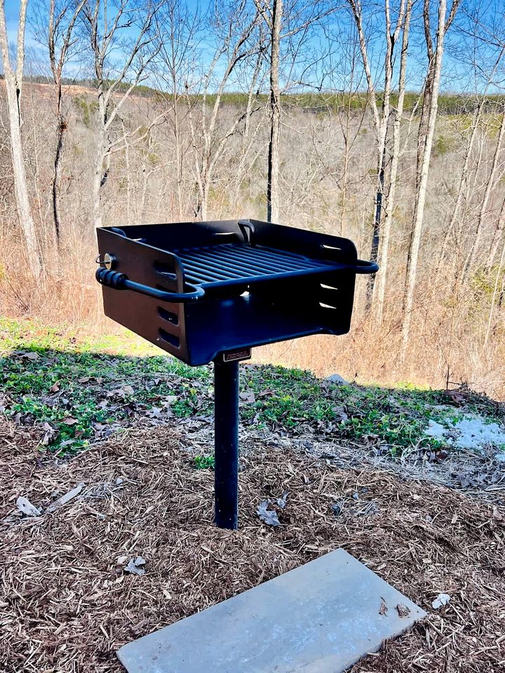 Creative Cabin Rental in Tennessee, for Unforgettable Family Getaways to Nature