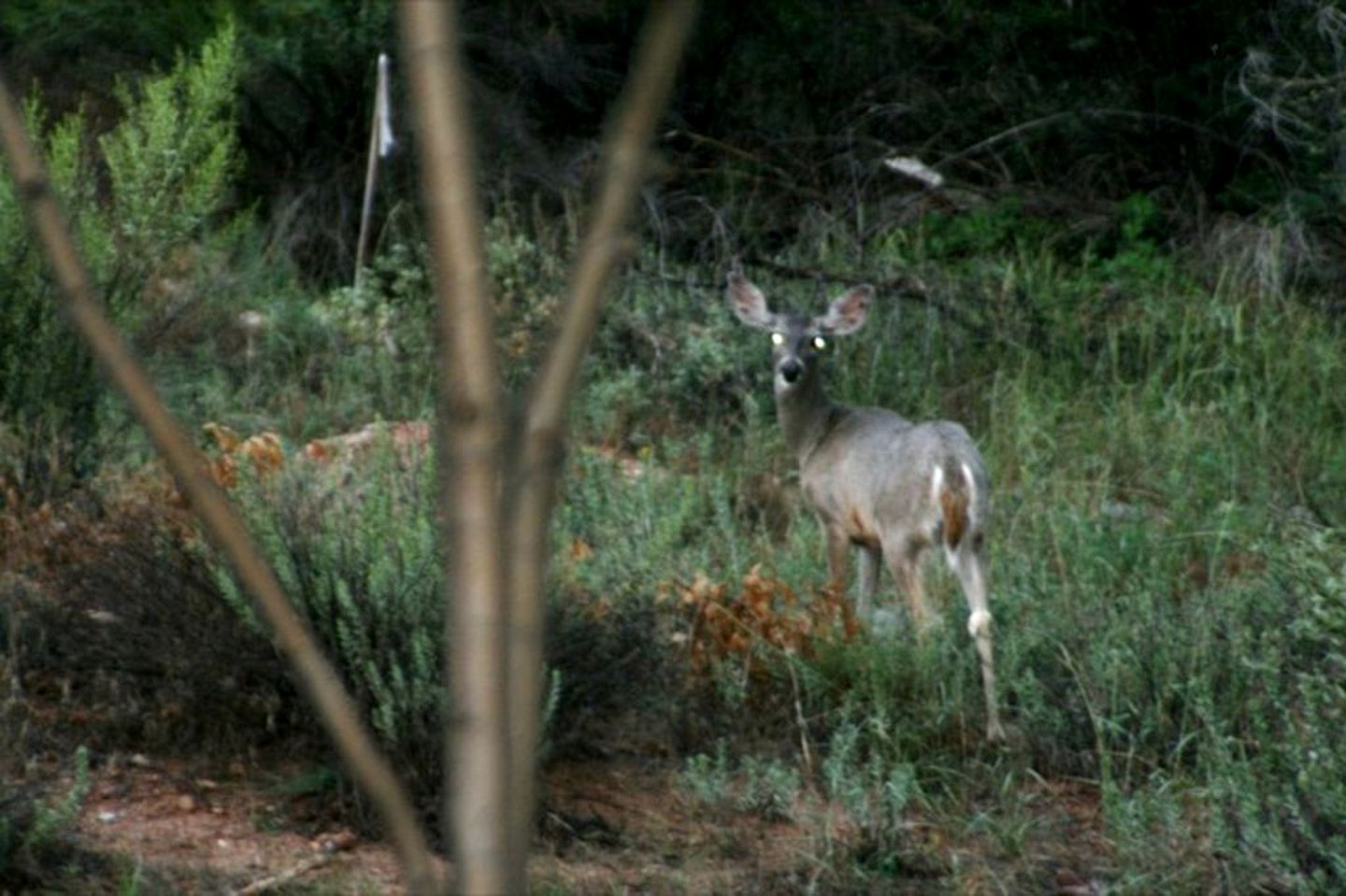 Spacious Creekfront Vacation Rental in Red Rock State Park, Arizona