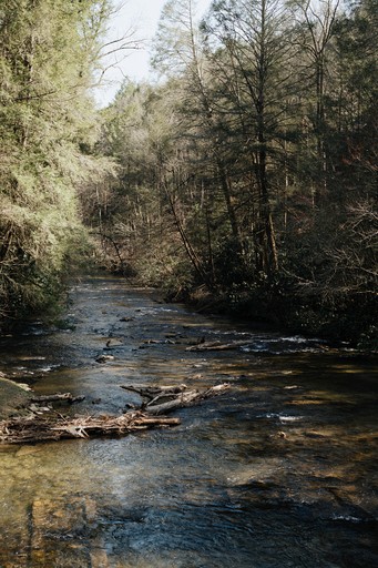 Cabins (United States of America, Blue Ridge, Georgia)