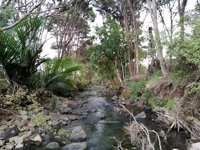 Tiny Houses (New Zealand, Otapaurau, Auckland)