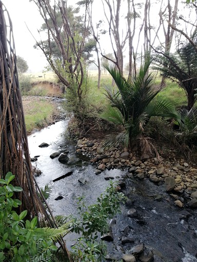 Tiny Houses (New Zealand, Otapaurau, Auckland)