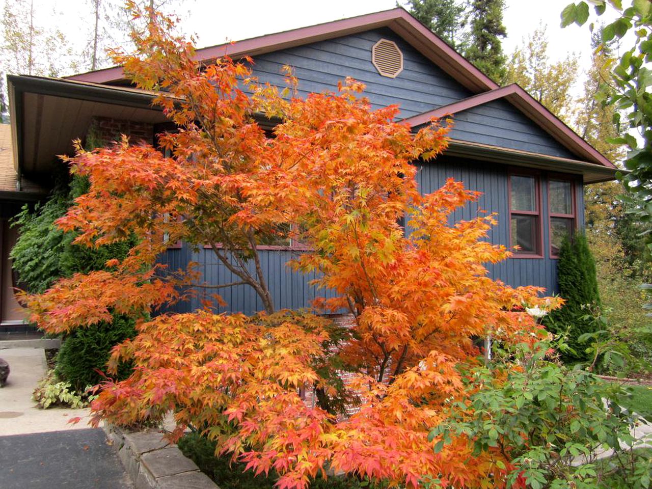 Room Rental with Lake and Mountain Views for Romantic Getaway near Nelson, British Columbia