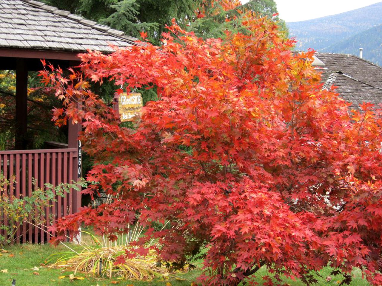 Room Rental with Lake and Mountain Views for Romantic Getaway near Nelson, British Columbia