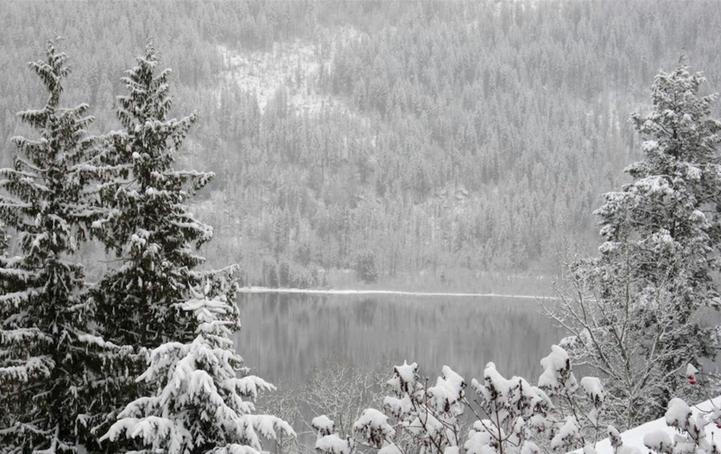 Room Rental with Lake and Mountain Views for Romantic Getaway near Nelson, British Columbia