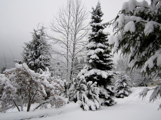 Nature Lodges (Nelson, British Columbia, Canada)