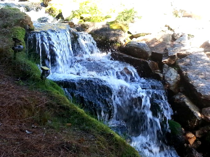 Nature Lodges (Nelson, British Columbia, Canada)