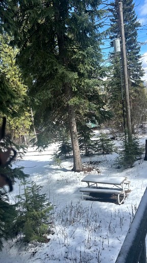 Cabins (United States of America, Cascade, Idaho)