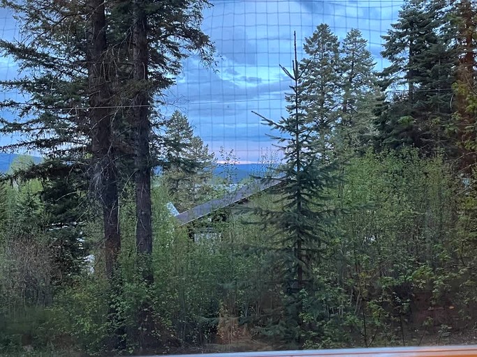 Cabins (United States of America, Cascade, Idaho)