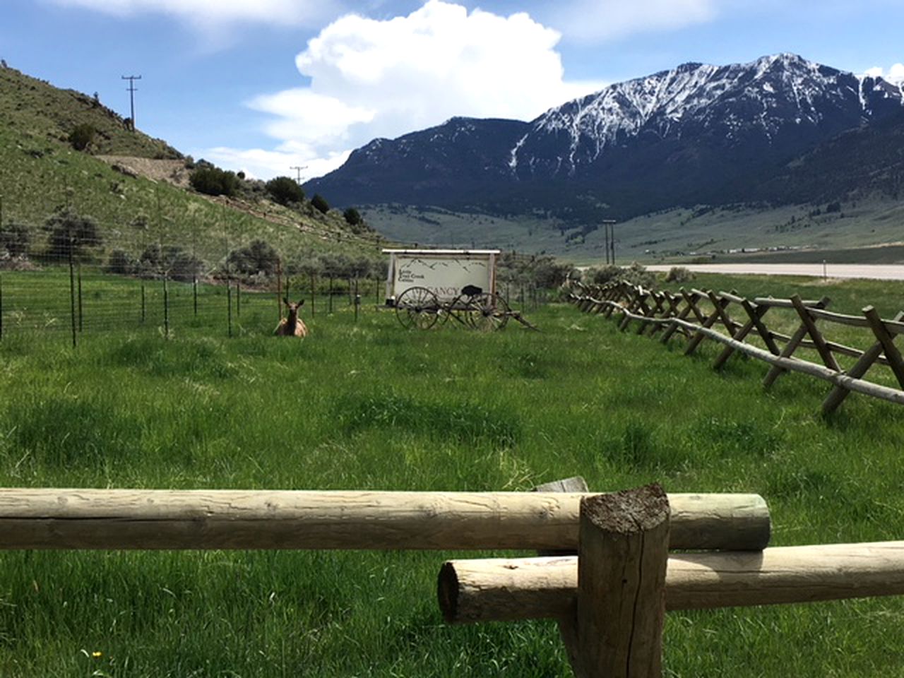 Creekside Cabin Rental Minutes from Yellowstone National Park in Gardiner, Montana