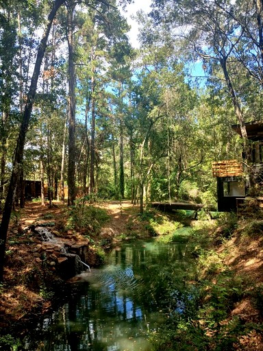 Containers (United States of America, Grimes County, Texas)