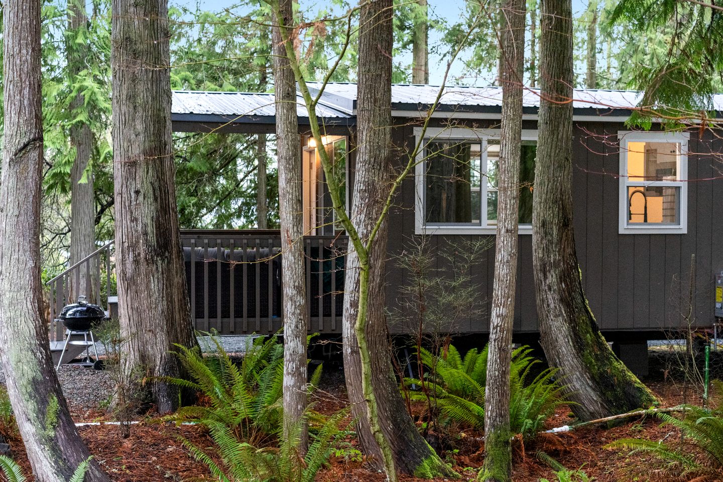 Tranquil, Creekside Cabin in the Forest of Sequim, Washington, Perfect for a Glamping Getaway from Seattle