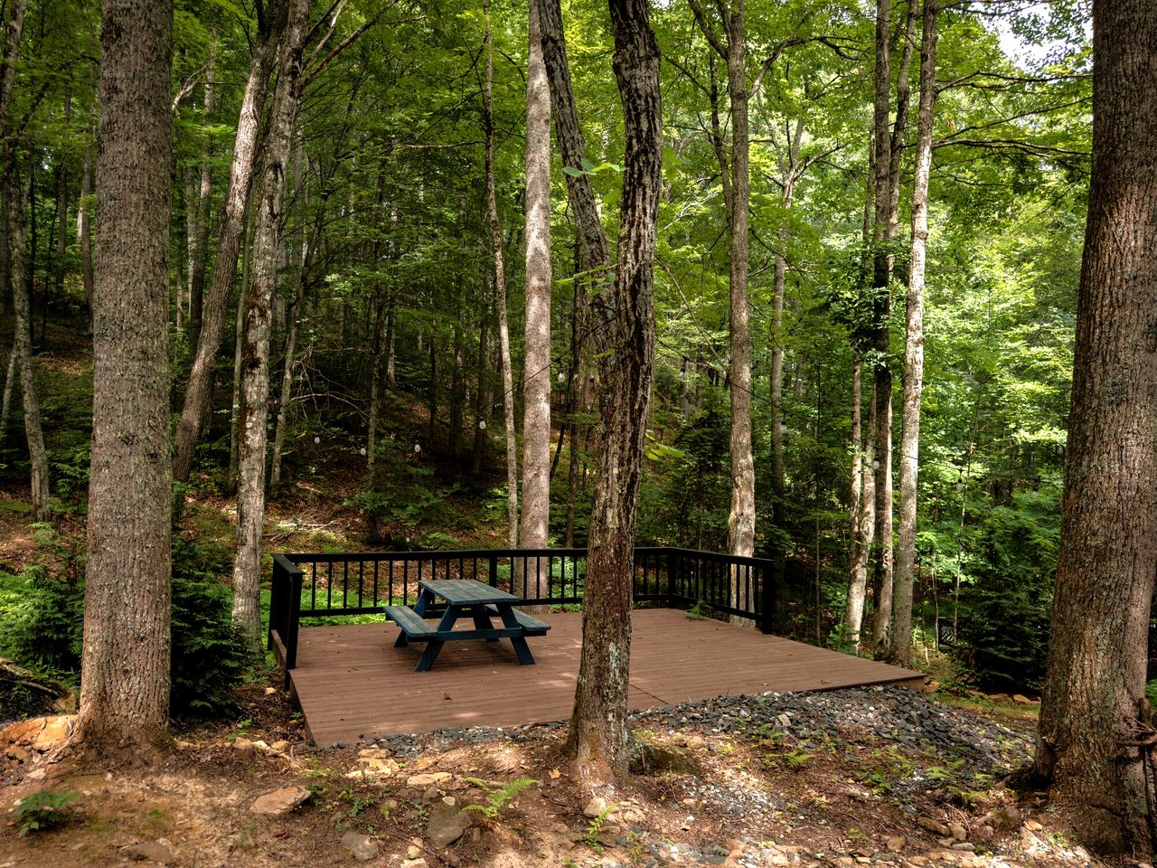 Beautiful Glass Tiny House for Two Surrounded by Nature for an Unforgettable Getaway near Mars Hill, NC