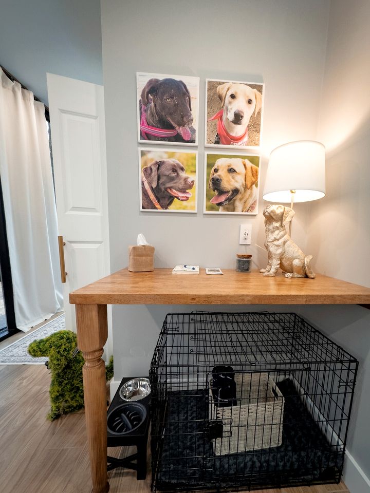 Incredible Glass Tiny House for a Pet-Friendly Romantic Escape in Nature near Mars Hill, NC