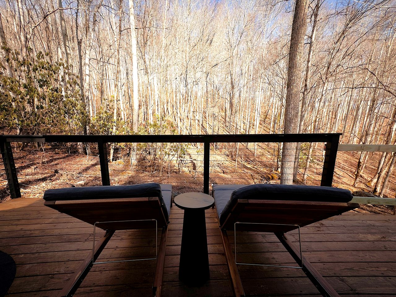 Luxurious Glass Tiny House with Sleek Interior Design for an Amazing Couples Getaway near Mars Hill, NC