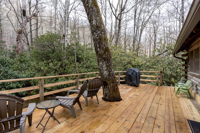 Cabins (United States of America, Topton, North Carolina)