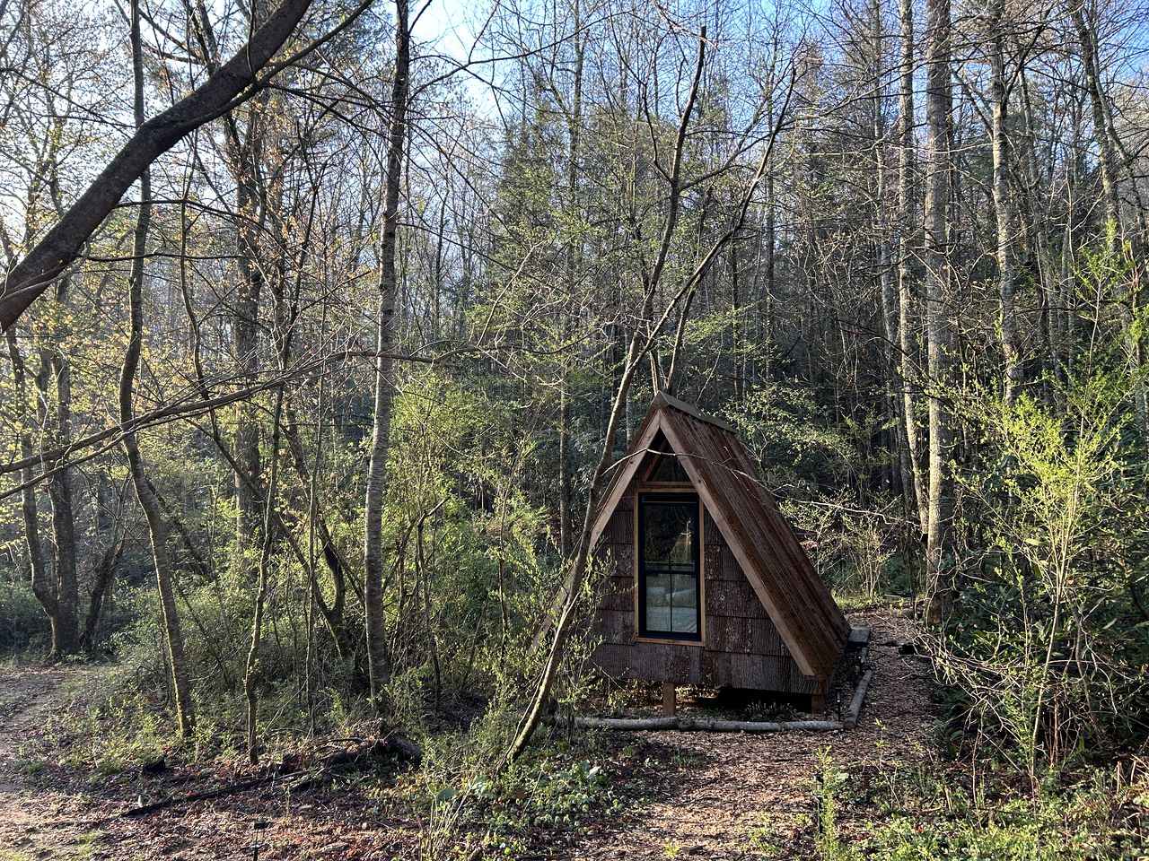 Secluded Off-Grid Cabin Retreat with Fire Pit & Sauna in Zirconia, North Carolina