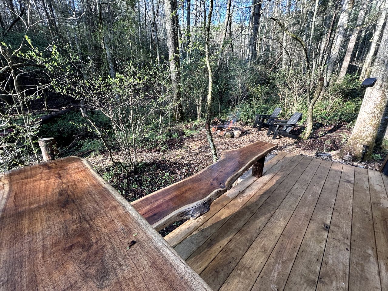 Secluded Off-Grid Cabin Retreat with Fire Pit & Sauna in Zirconia, North Carolina
