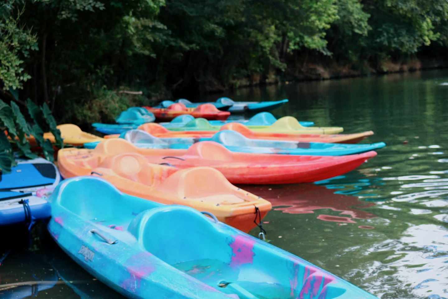 Creekside Safari Tent Chic: Experience Wild Comfort in Cibolo, Texas