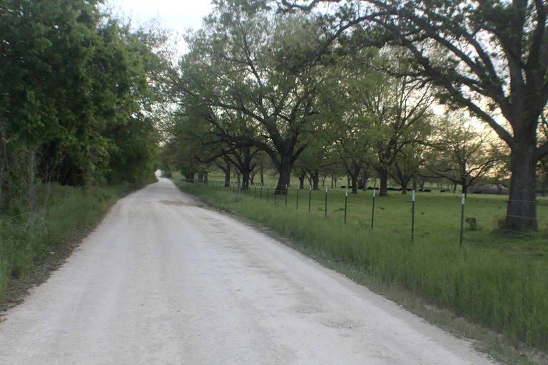 Tree Houses (United States of America, Forestburg, Texas)