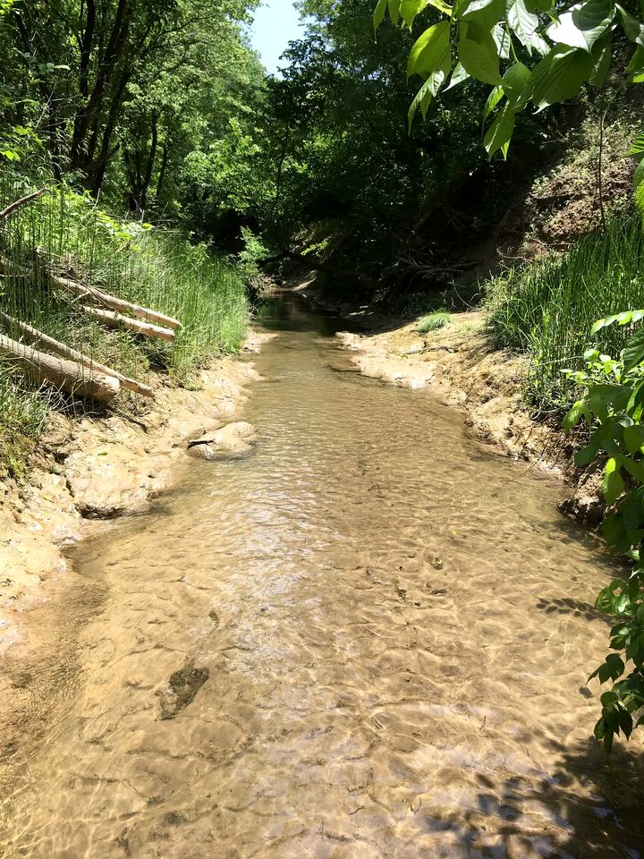 Enchanting Pecan Treehouse with Creek Views near Forestburg, Texas