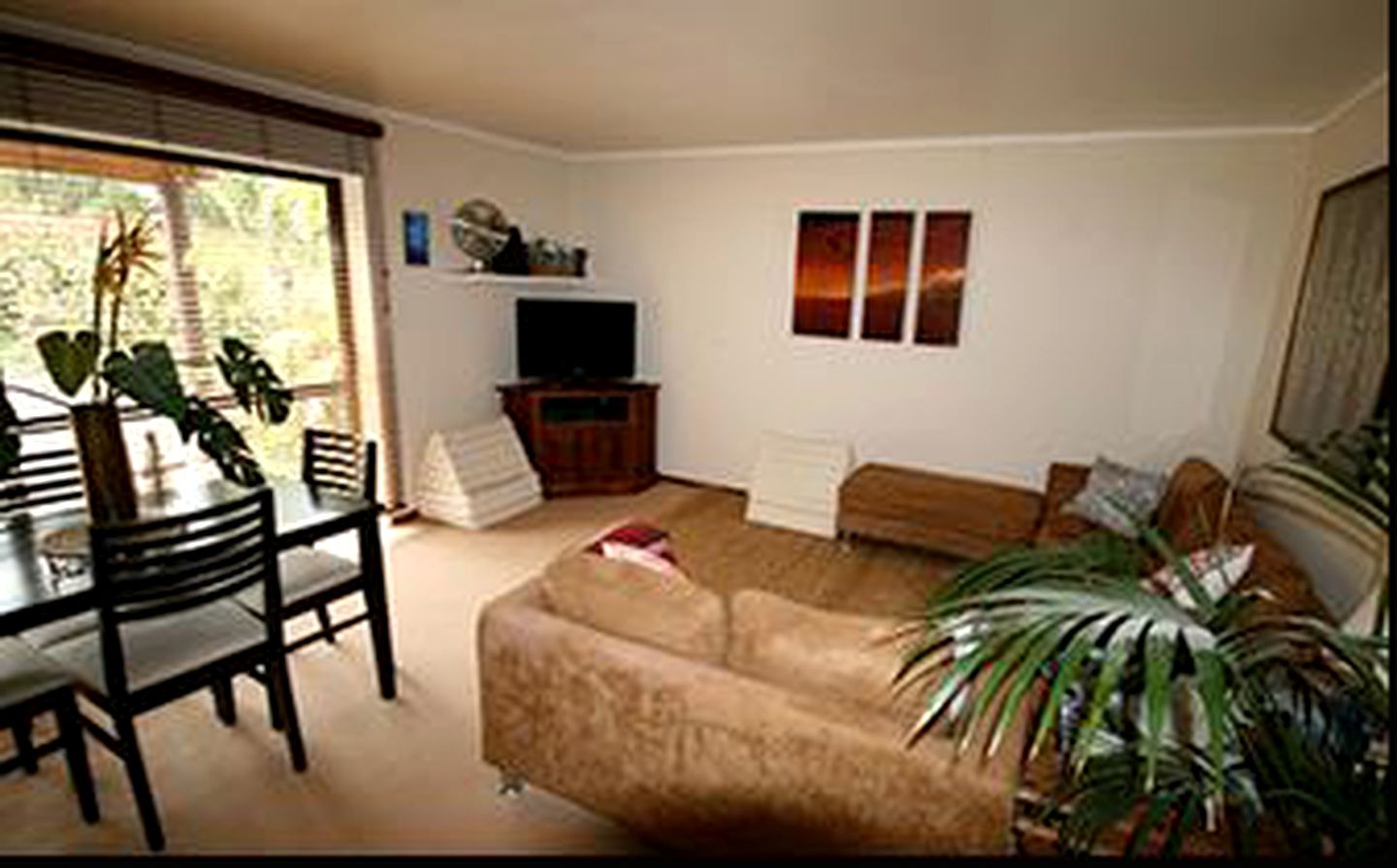 Cozy Suite Rental at a Tropical Lodge near the Bay of Plenty in New Zealand