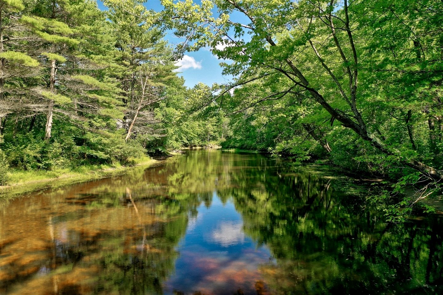 Peaceful Waterfront Cottage on Crooked River near Portland and Sebago Lake, Maine