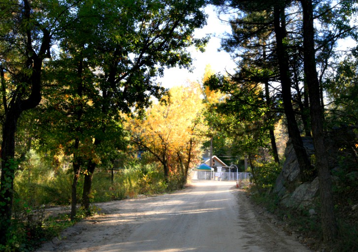 Vacation Rentals (Crown King, Arizona, United States)